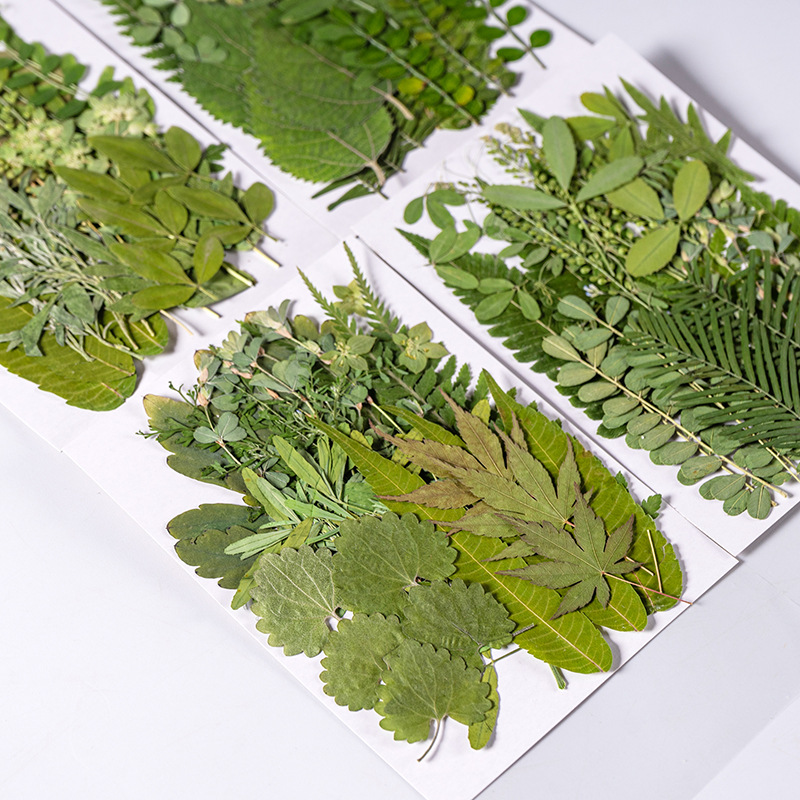 1Set 35 stücke Gepresste Getro – Dried Flower Bookmark Bewertung und Preis
