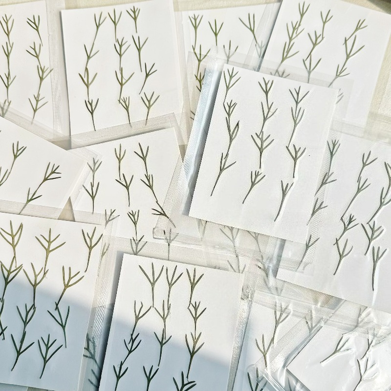 24 Stück, echte gepresste Achi – Dried Flower Bookmark Bewertung und Preis